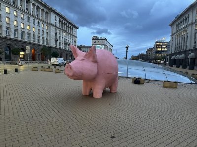 ДИАНА ДАМЯНОВАРозовото прасе тръгва на турне Изправени в буквалния смисъл