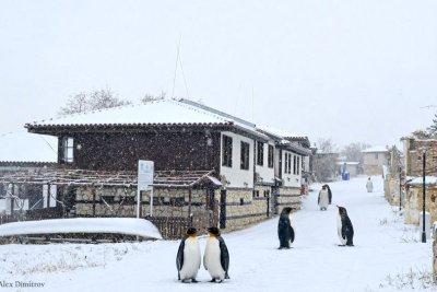 Никъде по света, само в Тутракан - измериха... минус 89 градуса 