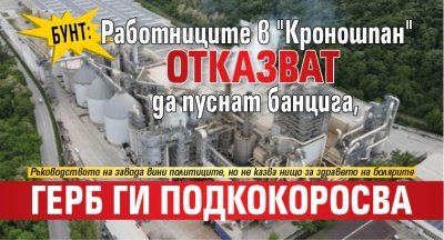 БУНТ: Работниците в "Кроношпан" отказват да пуснат банцига, ГЕРБ ги подкокоросва