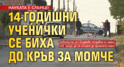 НАУКАТА Е СЛЪНЦЕ! 14-годишни ученички се биха до кръв за момче