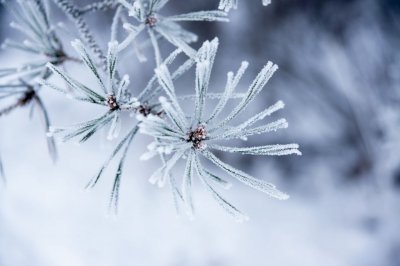 Днес - предимно слънчево