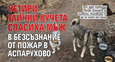 Четири улични кучета спасиха мъж в безсъзнание от пожар в Аспарухово
