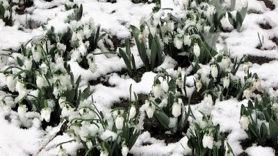 След леденостудения януари &ndash; какво ни чака през февруари?