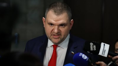 Изразената от министъра на външните работи в оставка Георг Георгиев