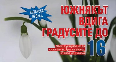Януарска пролет: Южнякът вдига градусите до 16