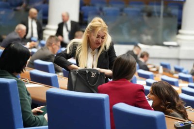 Депутатка на Ивелин се фука с "Луи Вюитон", оказа се менте 