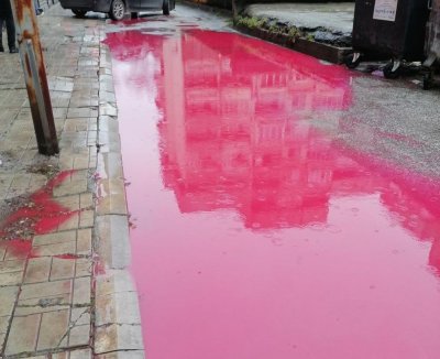 Боя на прах от боклукчийски камион е оцветила в розово локвите в Пловдив