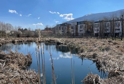 Терзиев спря опасния строеж край Боянското блато 