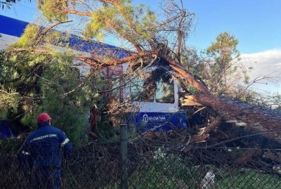 Огромен бор се стовари върху влак в Гърция