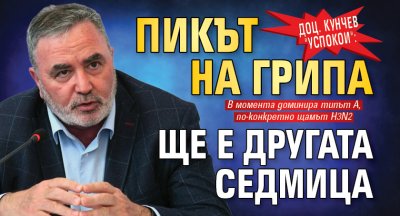 Грипът в момента е доминиращият причинител на респираторни инфекции у