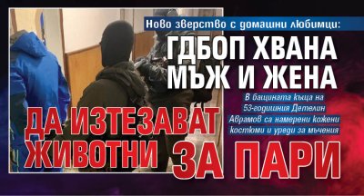 Ново зверство с домашни любимци: ГДБОП хвана мъж и жена да изтезават животни за пари 