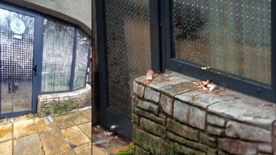 Столичният АГ кабинет със скритата камера осъмна с разбити яйца по входната врата