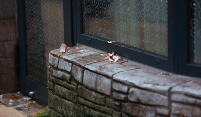 Замеряха с яйца столичния АГ кабинет със скритата камера (СНИМКИ)