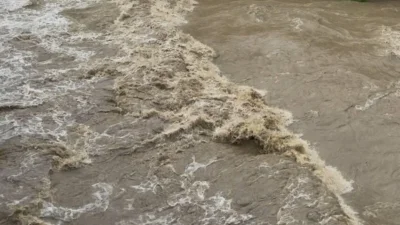 Реката в Неделино приижда, евакуират зайци и кокошки 