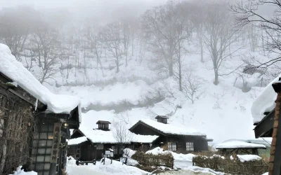 Снежни бури убиха 30 в Япония