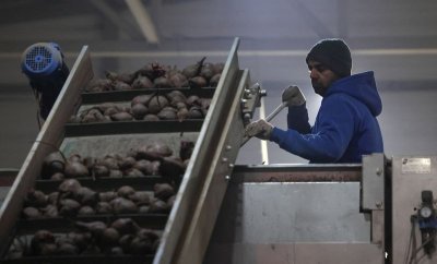 Русия привлича десетки хиляди индийски работници заради недостиг на кадри