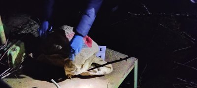 Мащабна акция в Айтос: Трима задържани, единият е акробат от Палма де Майорка