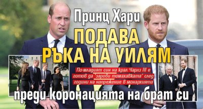 Принц Хари подава ръка на Уилям преди коронацията на брат си