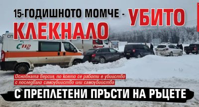 15-годишното момче - убито клекнало с преплетени пръсти на ръцете