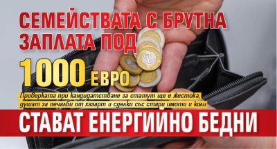 Семействата с брутна заплата под 1000 евро стават енергийно бедни