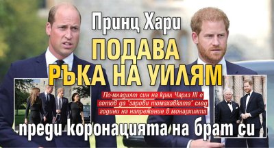 Принц Хари подава ръка на Уилям преди коронацията на брат си