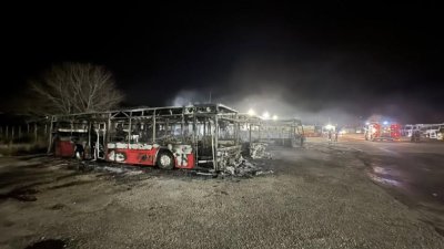 Пожар изпепели 3 автобуса и влекач в Костинброд