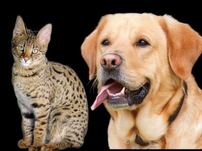 Във връзка с получено запитване за видео в социалните мрежи