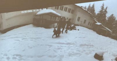 Проф. Кожухаров за "Петрохан": Липсва емпатия към жертвите, хората гледат на случая като на сериал