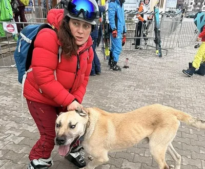 Зло куче-рецидивист напада и хапе туристи край пистата в Банско