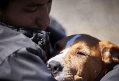 Ковид мутира: Задава се нова пандемия, удря ни Кучешки коронавирус 