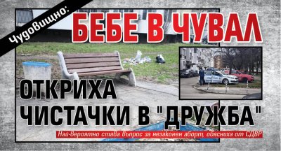 На зловеща находка се натъкнаха чистачки при почистването на боклуци