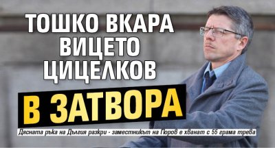 Тошко вкара вицето Цицелков в затвора