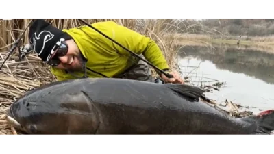Истински гигант изплува от водите на езеро край Хасково —