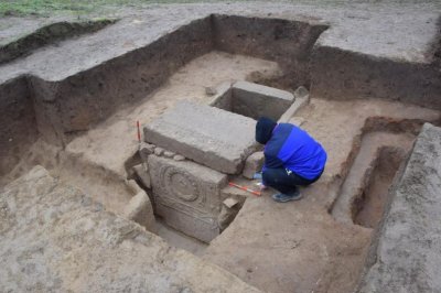 При изкореняване на дърво: Мъж откри римска гробница  в Свищов