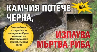 ШОК: Камчия потече черна, изплува мъртва риба