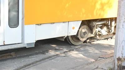 Ватман почина в движение в София