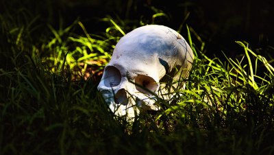 Откриха останките на жена край бившето поделение в Понор