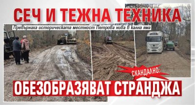 СКАНДАЛНО: Сеч и тежна техника обезобразяват Странджа (СНИМКИ)