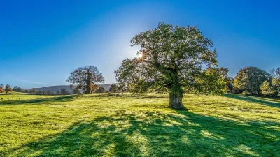 Март стартира със слънце и пролетни температури