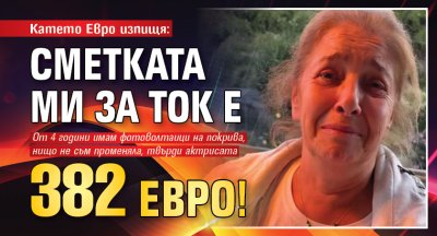Катето Евро изпищя: Сметката ми за ток е 382 евро!