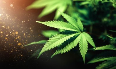 29-годишен е установен с наркотично вещество