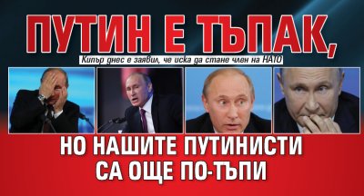 Путин е тъпак, но нашите путинисти са още по-тъпи