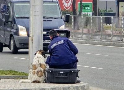ХИТ ФОТО: Куче помага на катаджия да си нагласи камерата