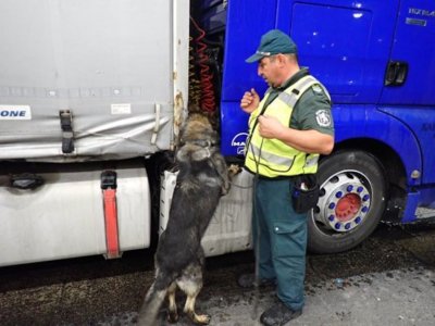 Граничарско куче откри близо 50 кг марихуана в кола (СНИМКИ)