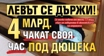 Левът се държи! 4 млрд. чакат своя час под дюшека