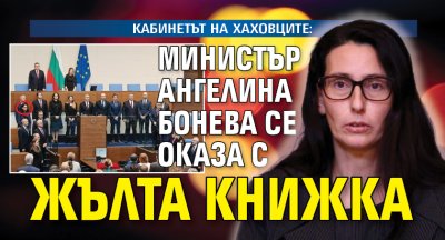 КАБИНЕТЪТ НА ХАХОВЦИТЕ: Министър Ангелина Бонева се оказа с жълта книжка