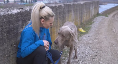 Жена скочи в 7-метров канал, за да спаси кучето си