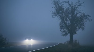 Плъзват мъгли, следобед - пролетни температури