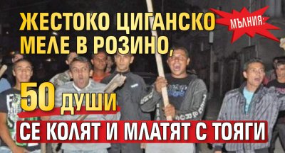 МЪЛНИЯ: Жестоко циганско меле в Розино, 50 души се колят и млатят с тояги