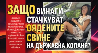 Защо винаги стачкуват оядените свине на държавна копаня?